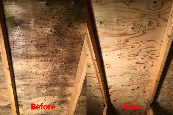 water damage restoration service Holtsville